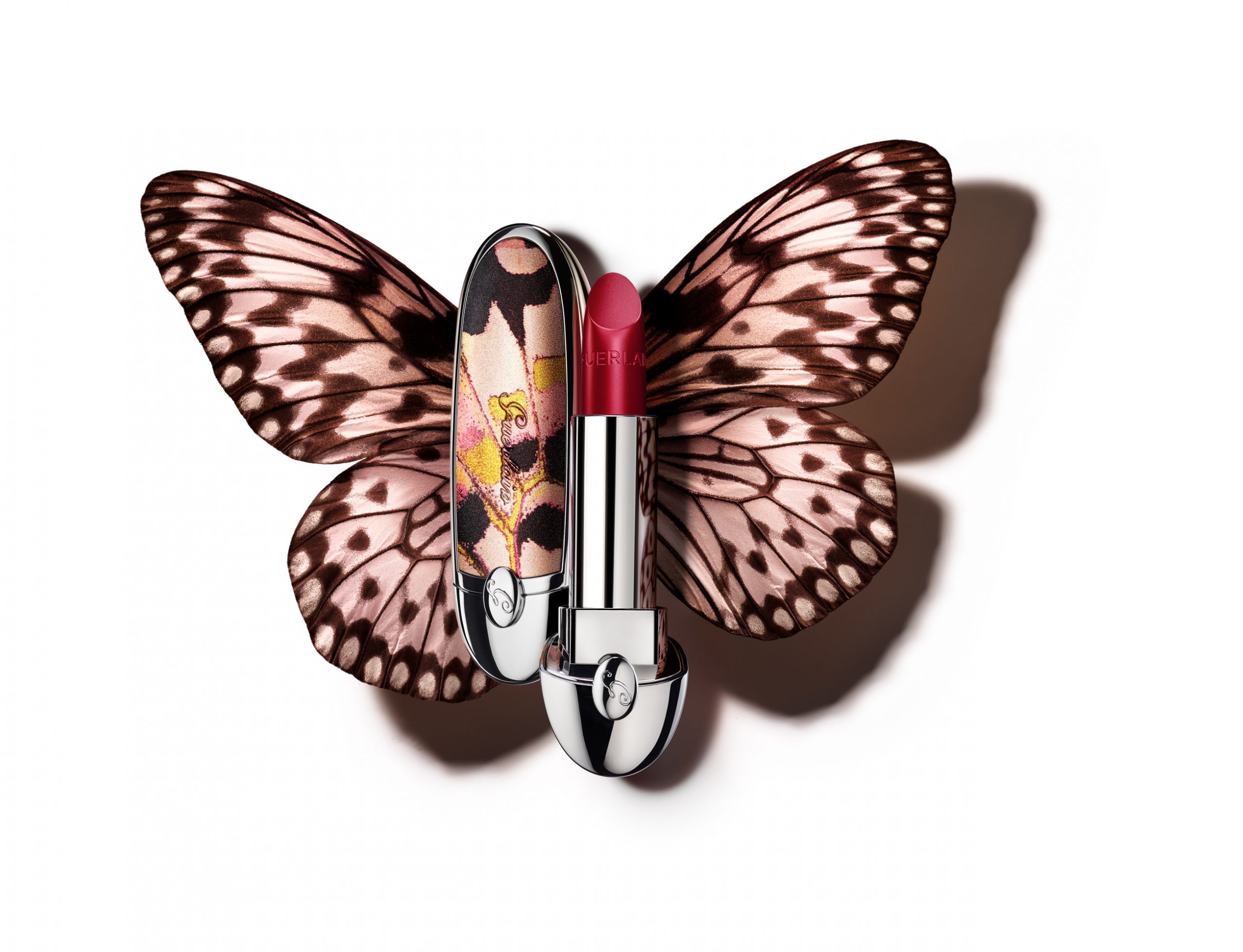 Butterfly Effect TUSH Magazine